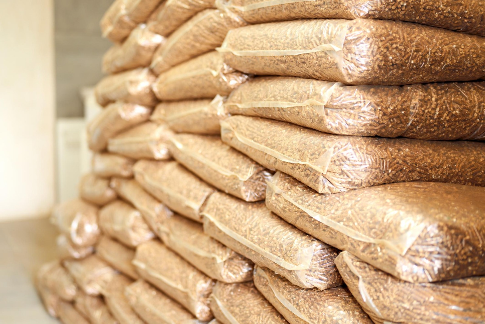 WhatsApp Image 2026-02-09 at 13.07.35 (4)